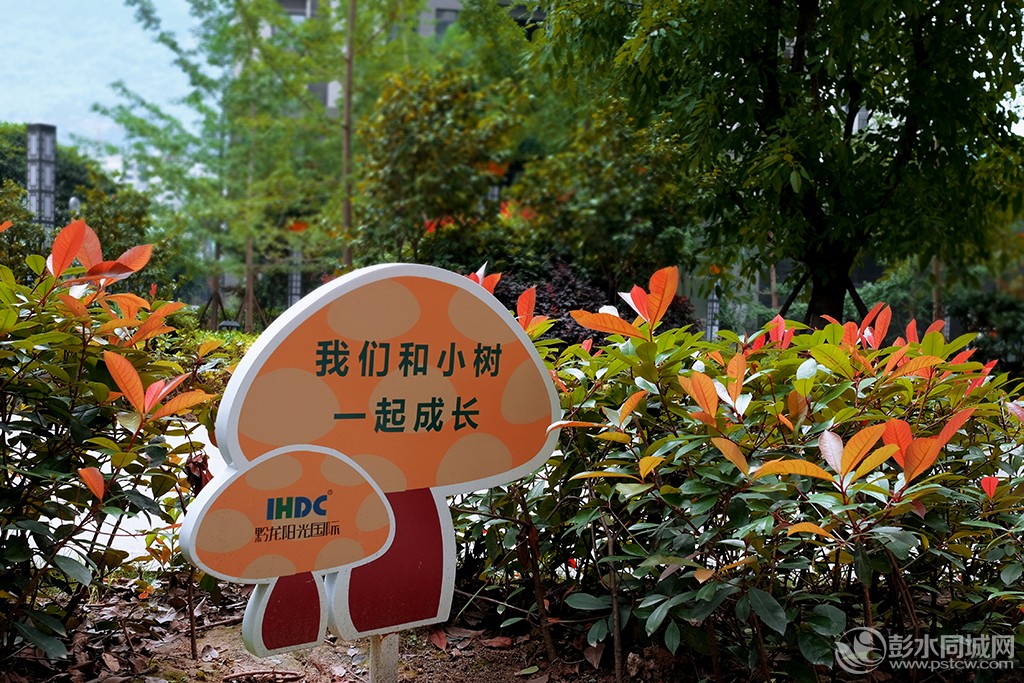 潜移默化 黔江钟绍珉摄 13320391298.jpg