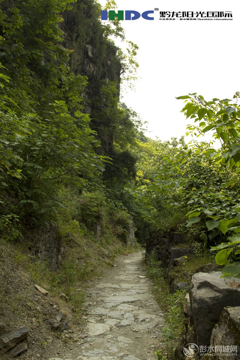 郁山古盐道.jpg